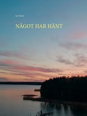 cover image of NÅGOT HAR HÄNT